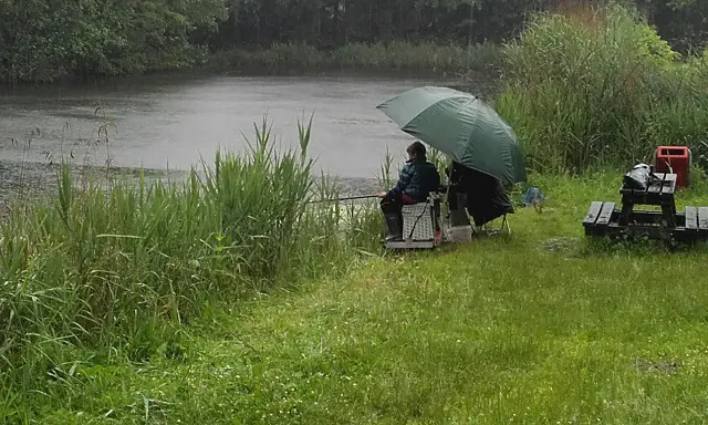Wat is het beste moment om tijdens een regenbui te vissen