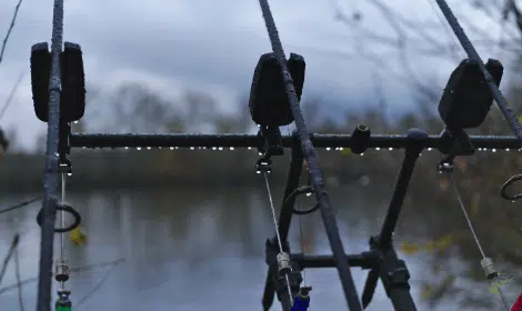Werkt het vissen in de regen op karper goed